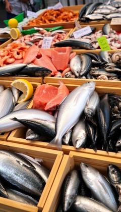 水產(chǎn)品 營養(yǎng)與可持續(xù)利用的雙重價(jià)值