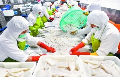 福建晉江水產加工出口快速增長，加工貿易成發展新引擎